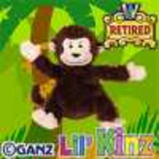lil\' monkey