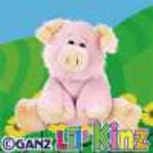 lil\' pig - Animalute Webkinz