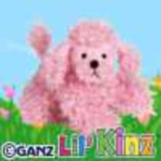 lil\' pink poodle