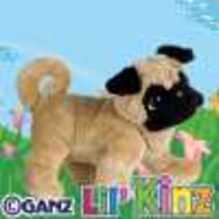 lil - Animalute Webkinz