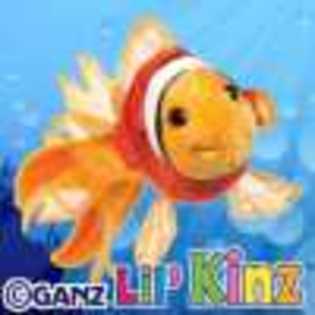 lil - Animalute Webkinz