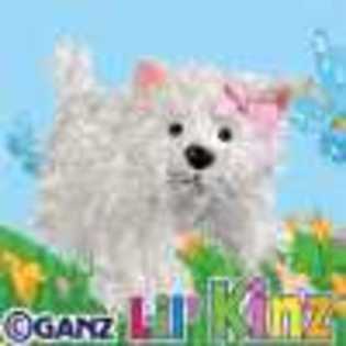 lil