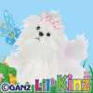 lil - Animalute Webkinz