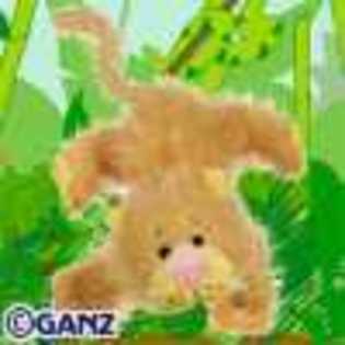 lioness - Animalute Webkinz