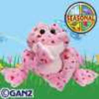 love frog - Animalute Webkinz