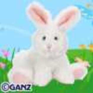 marshmallow bunny