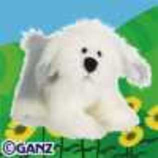 old english sheepdog - Animalute Webkinz