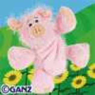 pig - Animalute Webkinz