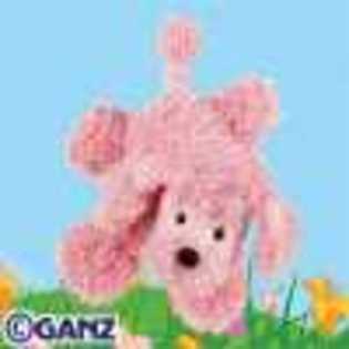 pink poodle