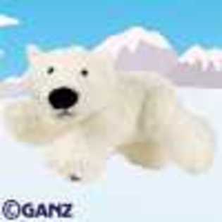 polar bear