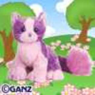 pom pom kitty