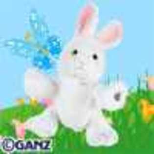 rabbit