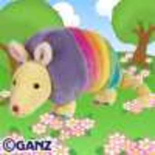 rainbow armadillo