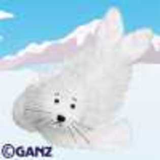seal