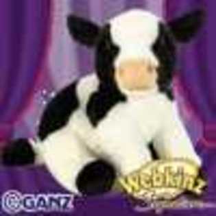 signature cow - Animalute Webkinz