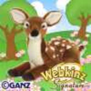 signature deer - Animalute Webkinz