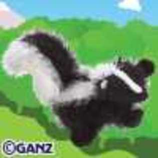 skunk