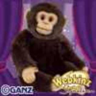 small signature chimpanzee - Animalute Webkinz