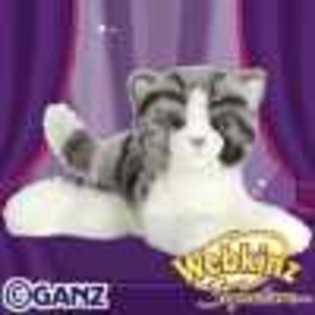 small signature grey tabby cat - Animalute Webkinz