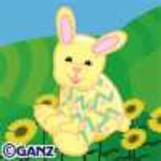 spring celebration bunny - Animalute Webkinz