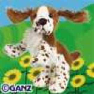 springer spaniel - Animalute Webkinz