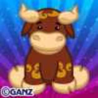 taurus bull - Animalute Webkinz