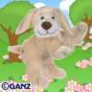 tawny pup - Animalute Webkinz