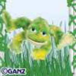 tie dye frog - Animalute Webkinz