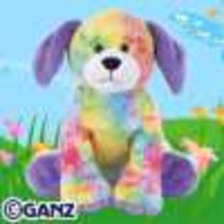 tie dyed puppy