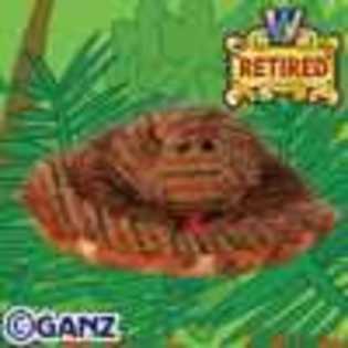 tiger snake - Animalute Webkinz