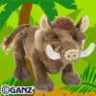 warthog - Animalute Webkinz