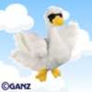 white swan - Animalute Webkinz