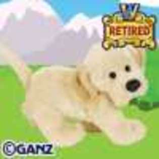 yellow lab - Animalute Webkinz