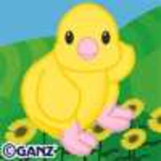 yellow springtime chick - Animalute Webkinz