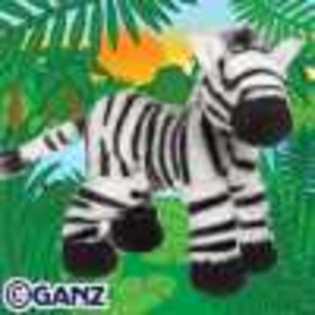 zebra - Animalute Webkinz