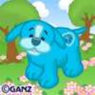 zercon puppy - Animalute Webkinz