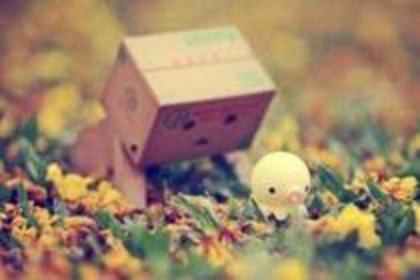pui - Danboo