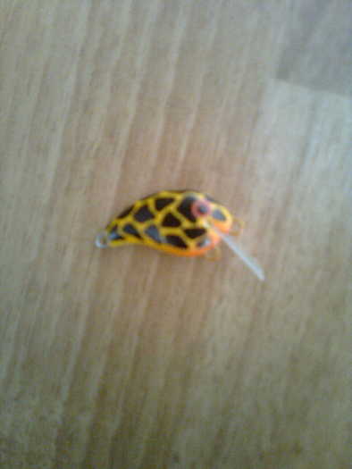 Imagine0095; 3 cm balsa siking
