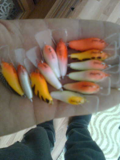 Imagine0097; 3 cm balsa siking
