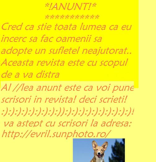 anunt!:):) - revista puppy nr5