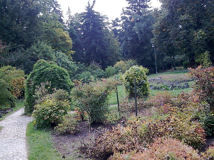 Image039