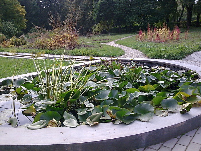 Image042