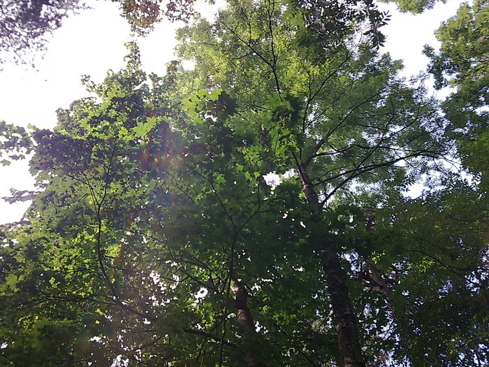 Image054