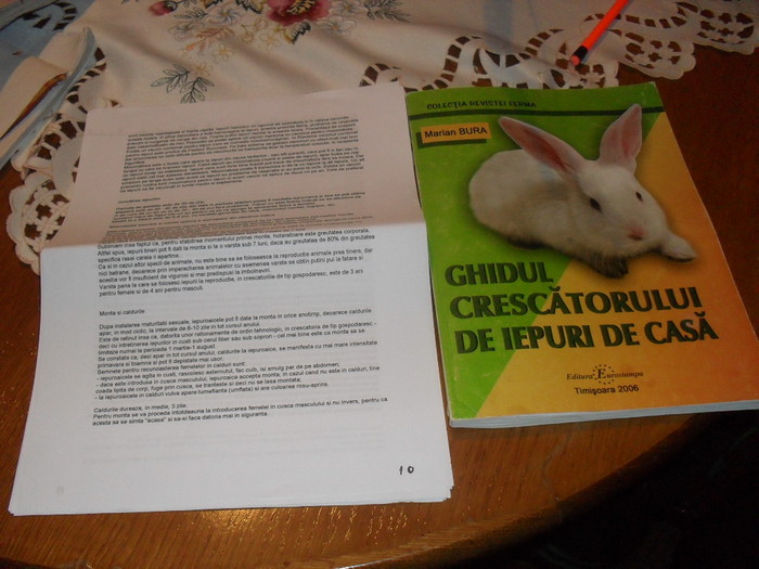 Informatii culese de pe internet - Cresterea iepurilor   rase de iepuri      site-uri si carti despre iepuri