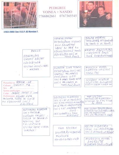 898012-07; frate de cuib cu campioana nat. Bialistoc
