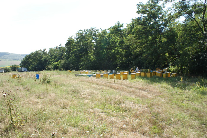 DSC02297; Locatie Greci
