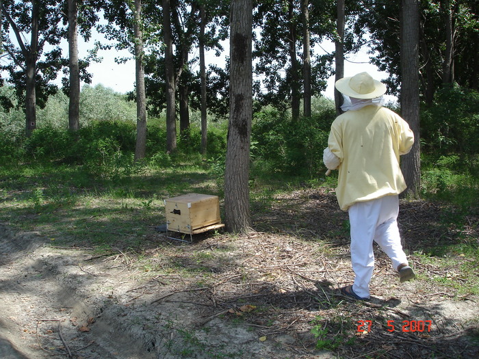 Picture 154; Roi in lada
