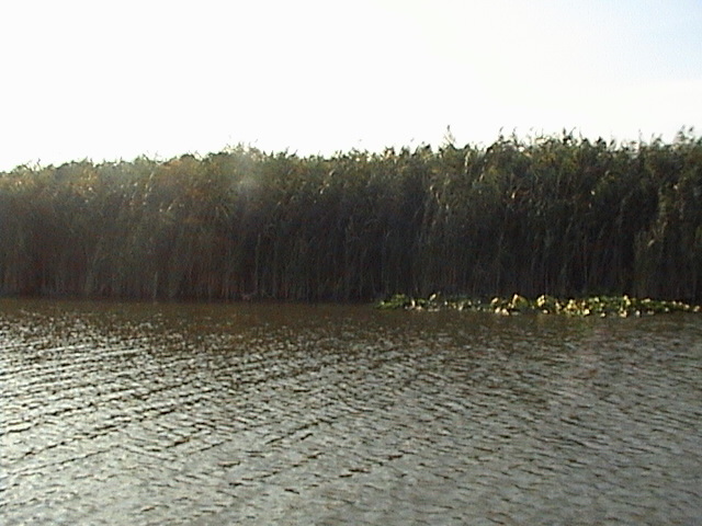 DSC01488 - poze cu mine in delta