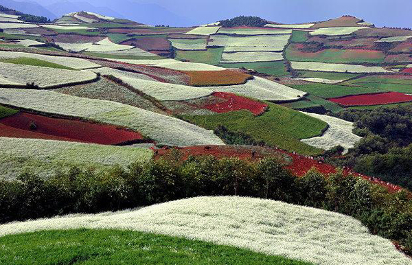 4 - Dealurile multicolore din Yunnan un loc unic pe Terra