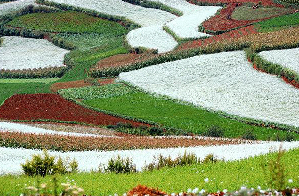 5 (1) - Dealurile multicolore din Yunnan un loc unic pe Terra